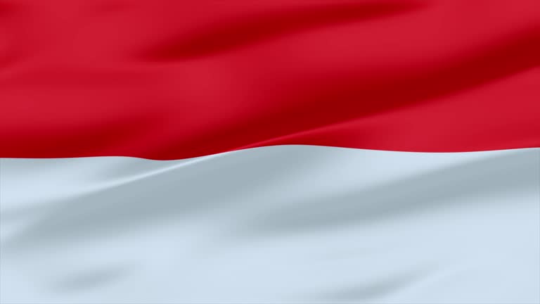 Indonesia Flag